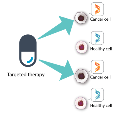 KRAS with gene mutation, More signals for cell growth, Cell growth is out of control and causes cancer